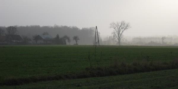 Mgła nad polami w Witulinie