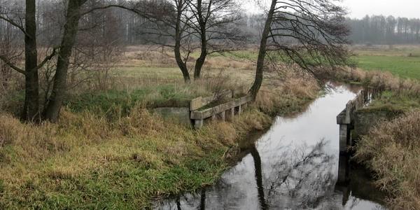 Pozostałości po starym moście w Witulinie