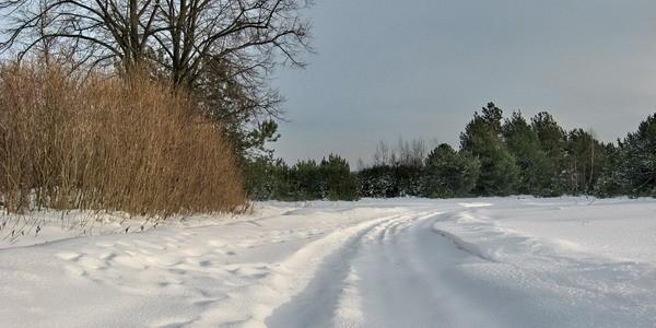OTB w śnieżny puch