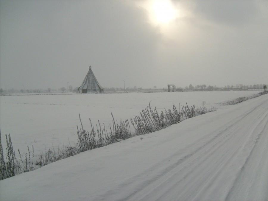 Leśna ścieżka