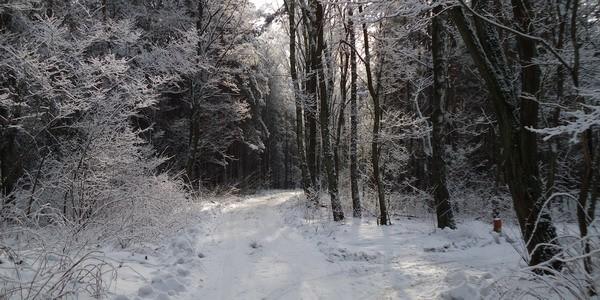 Czarujący widok