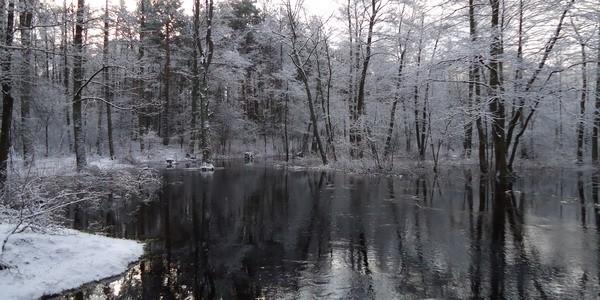 Rzeka Rudka