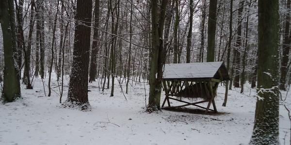 Paśnik