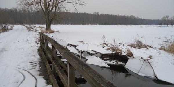 Mostek nad rzeką Zielawa we wsi Perkowice