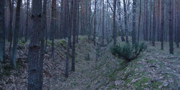 Niedaleko bunkrów istniało kiedyś miasteczko niemieckie