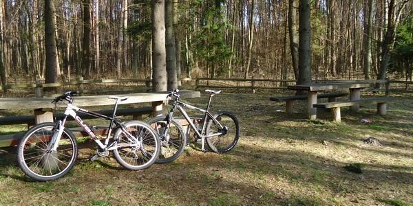 Śródleśny parking i stoły biwakowe w połowie lutego