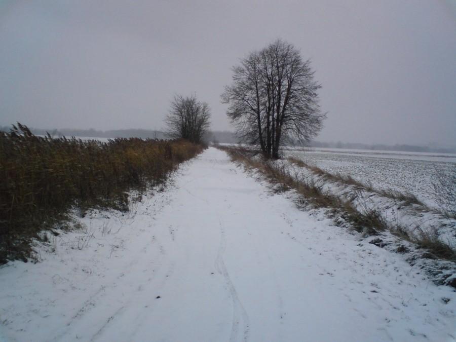 Trasa trzeciego etapu - trasa kałuż
