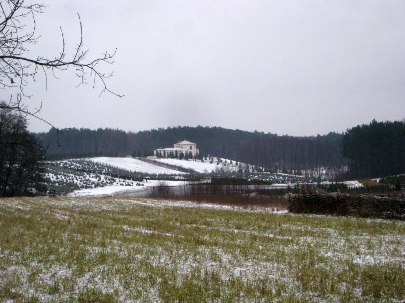 Łoskoń Stary - dom na wzgórzu w lesie