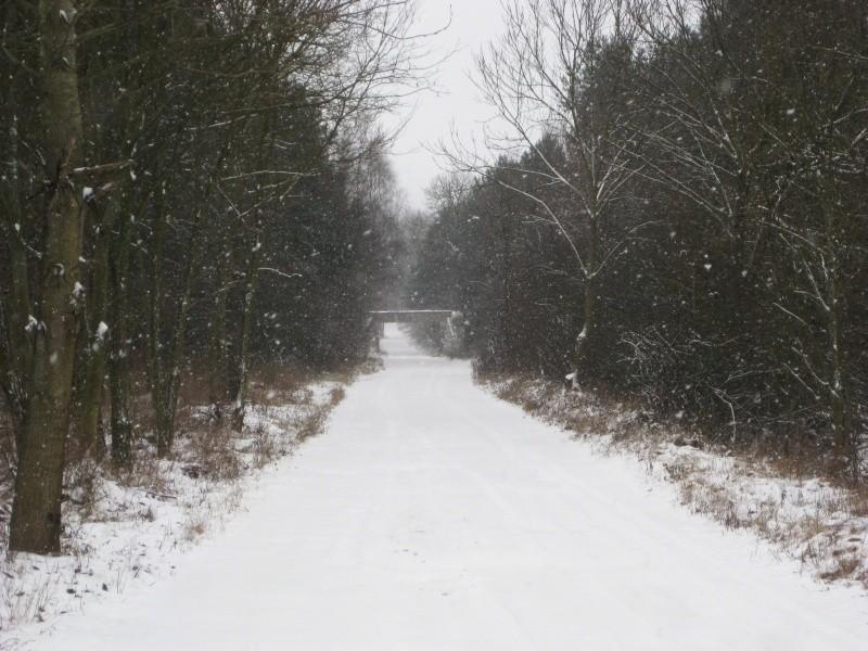 a śnieżek zapodawał coraz mocniej