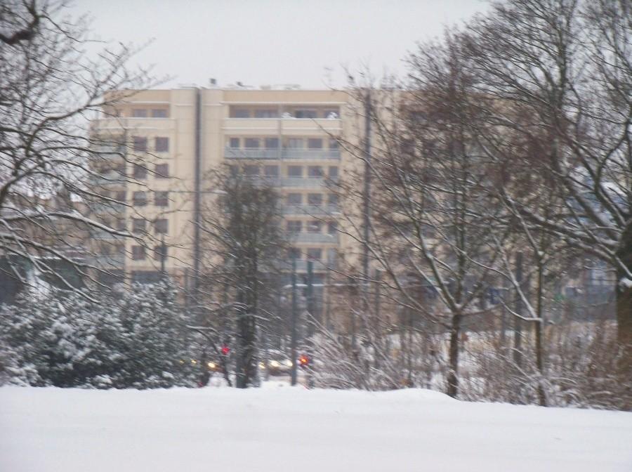 ZIMA W ELBLĄGU