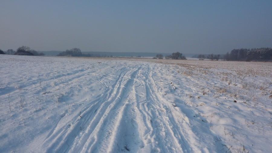 Kampinoski Park Narodowy