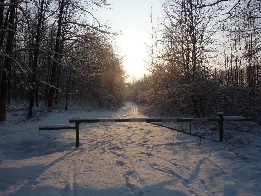 Śnieg jest trochę za sypki...