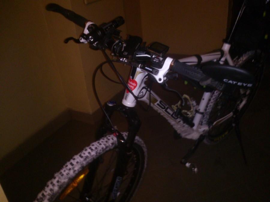 Wośp