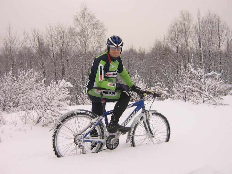 Niedźwiedź Polarny z mmbike