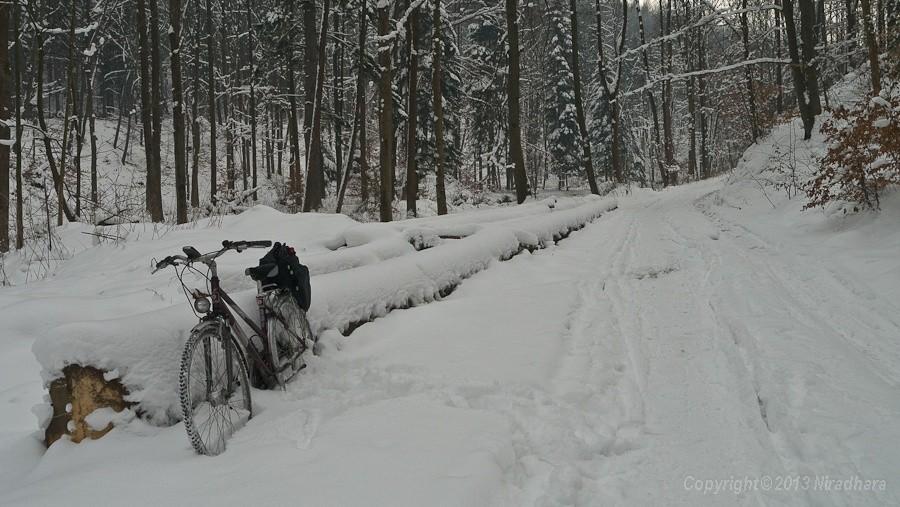 Pancerniku, poczekaj grzecznie, pani zrobi kilka fotek i wróci do ciebie