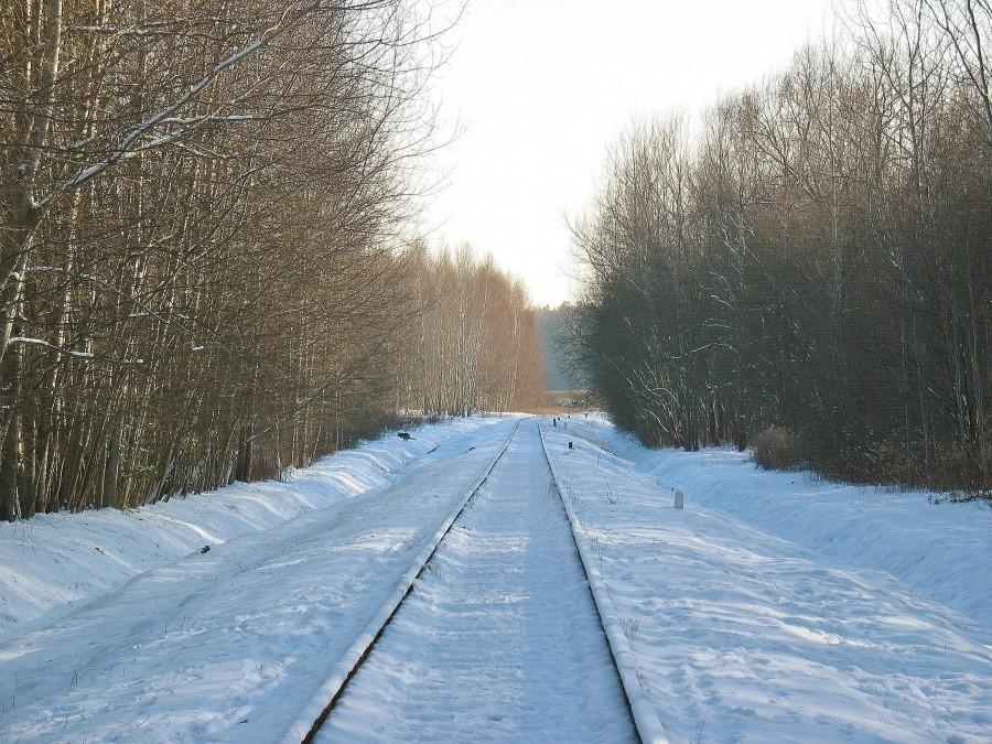 Las Kabacki – tor dojazdowy do metra