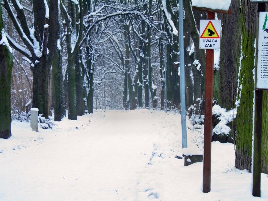 Ostrzeżenie chwilowo nieaktualne.