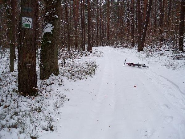 Szlaki w ogóle nieodśnieżone, i jak ci biedni rowerzyści mają jeździć, skandal ;)