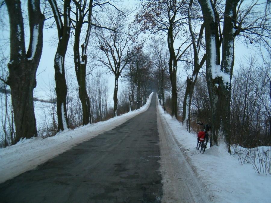 Na rowerku po okolicznych wioskach. 19-01-2013. Na drodze do wsi Gorzędziej, za Tczewem.