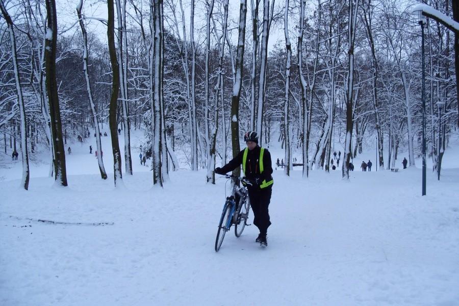 Park miejski w Tczewie