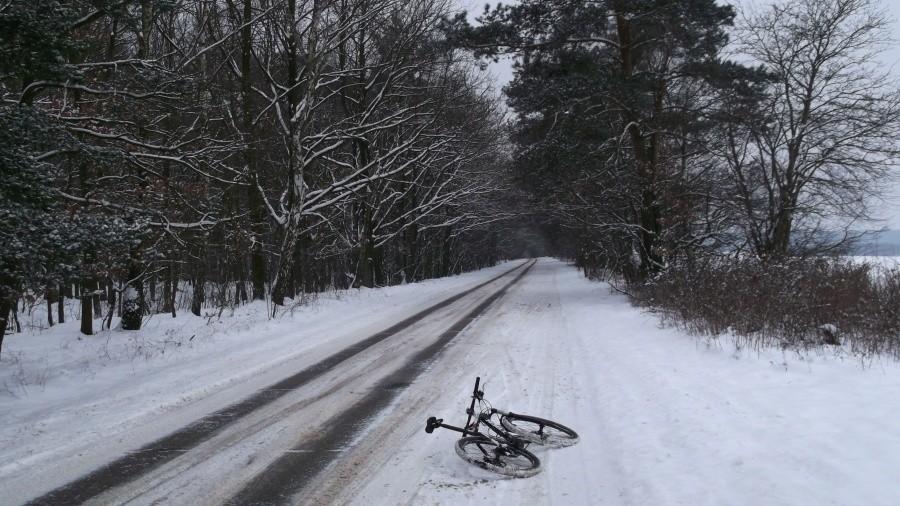 Greiserowka zimową porą