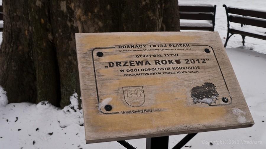 tabliczka pamiątkowe