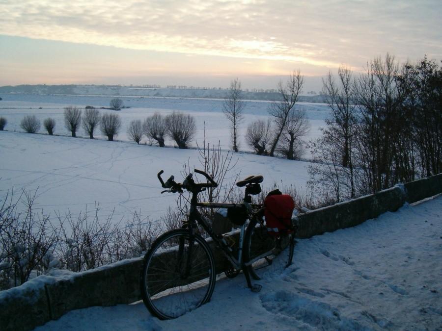 Krajobraz brzegu Wisły widziany od strony "Berlinki"- droga krajowa nr.22. Czarlin-Malbork. 20-01-2013.