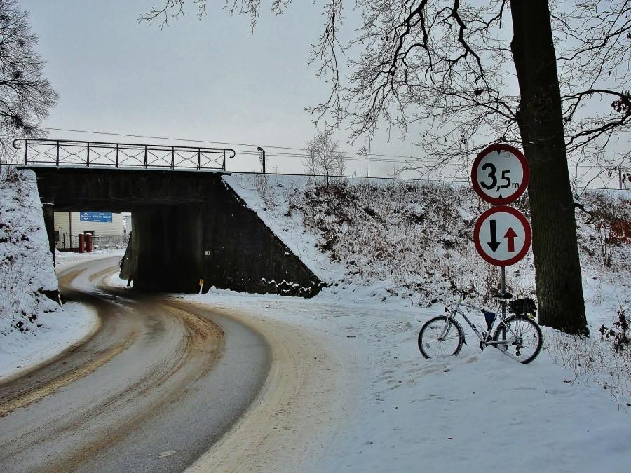 Na trasie wycieczki.