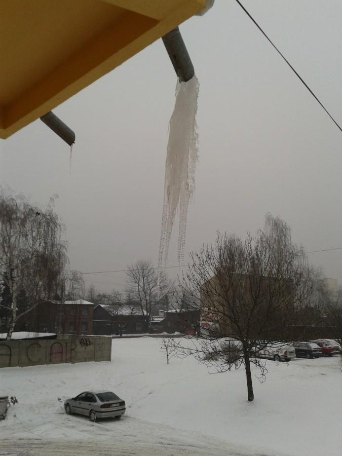 Rynnowy lodzik