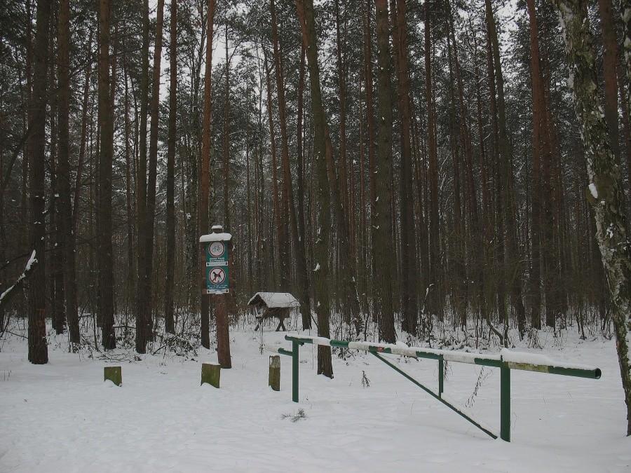 Paśnik na rogu