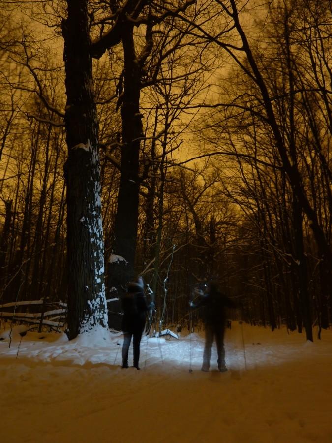Nocne biegówki w Lesie Bielańskim