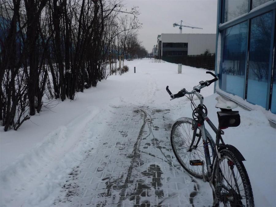 Kto odśnieży drogę dla rowerów?