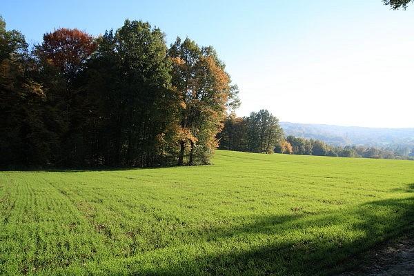Pola nad Porębą Radlną