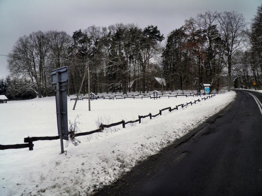 Tuż za Tanowem - droga nr 115 w kierunku Dobieszczyna.