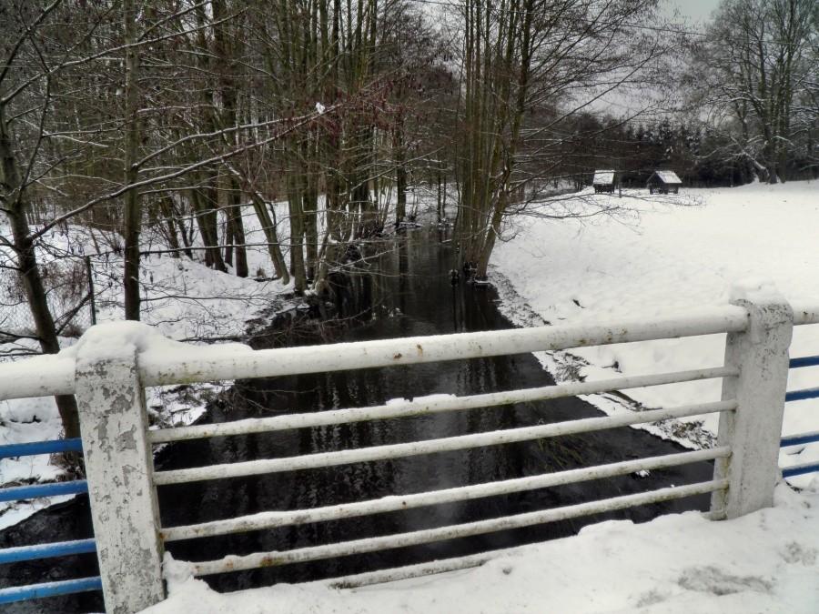 Z mostku nad rzeką Gunica, tuż za Tanowem.