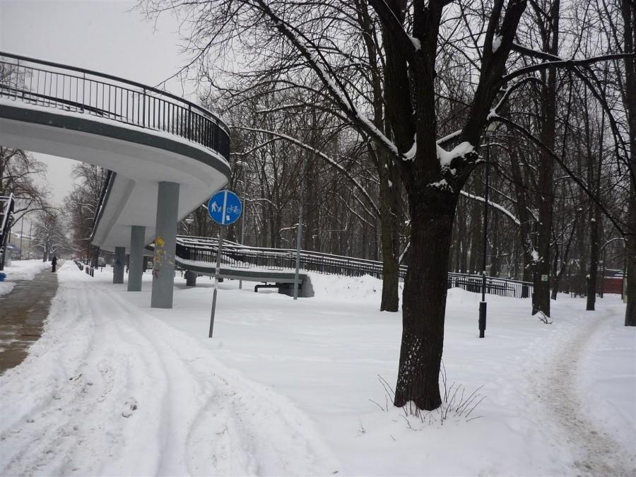Droga dla rowerów Al. Niepodległości