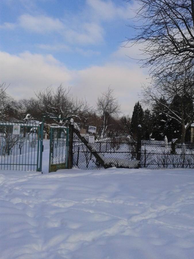 Zima na działkach