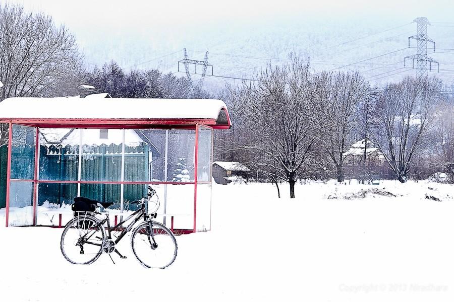 przystanek autobusowy niestrzeżony