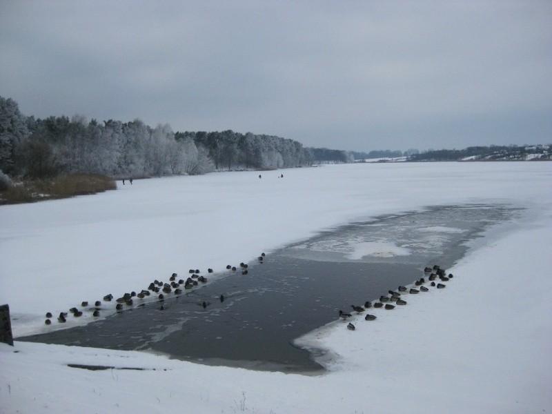 Jezioro Kowalskie - ostatni bastion płynnej wody nad jeziorem
