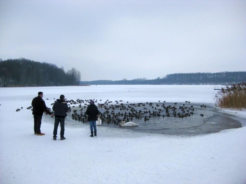 Jezioro Biezdruchowskie - czarna dziura na jeziorze wciągnęła wszystkie ptactwo
