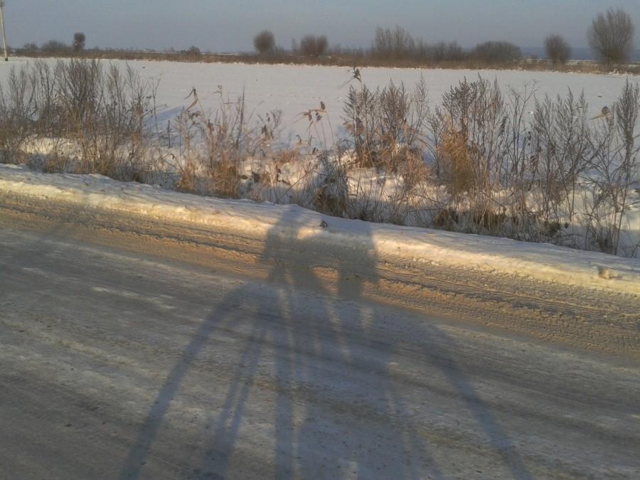 Cień