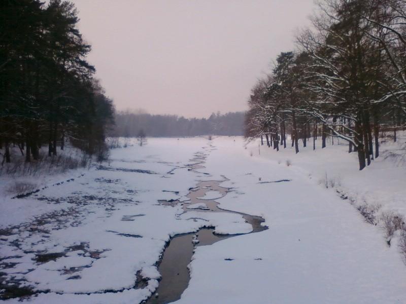 Staw w Arturówku