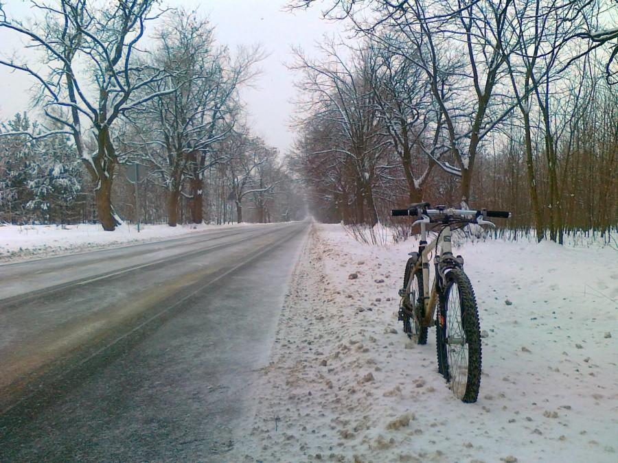 Droga w Kusiętach.