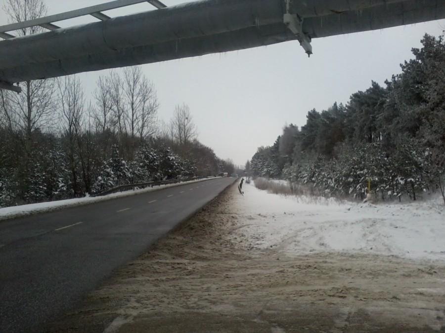 Nowotoruńska w zimowej krasie