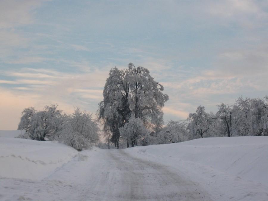 Prawie Przylasek.