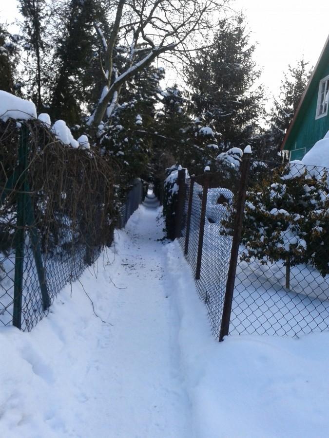 Wąskie przejście między płotami
