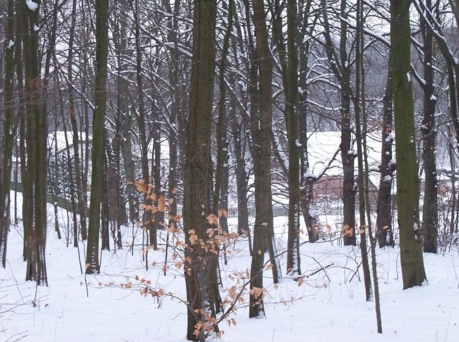 BAŻANTARNIA