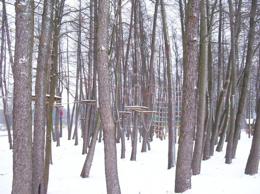 GÓRA CHROBREGO-PARK LINOWY