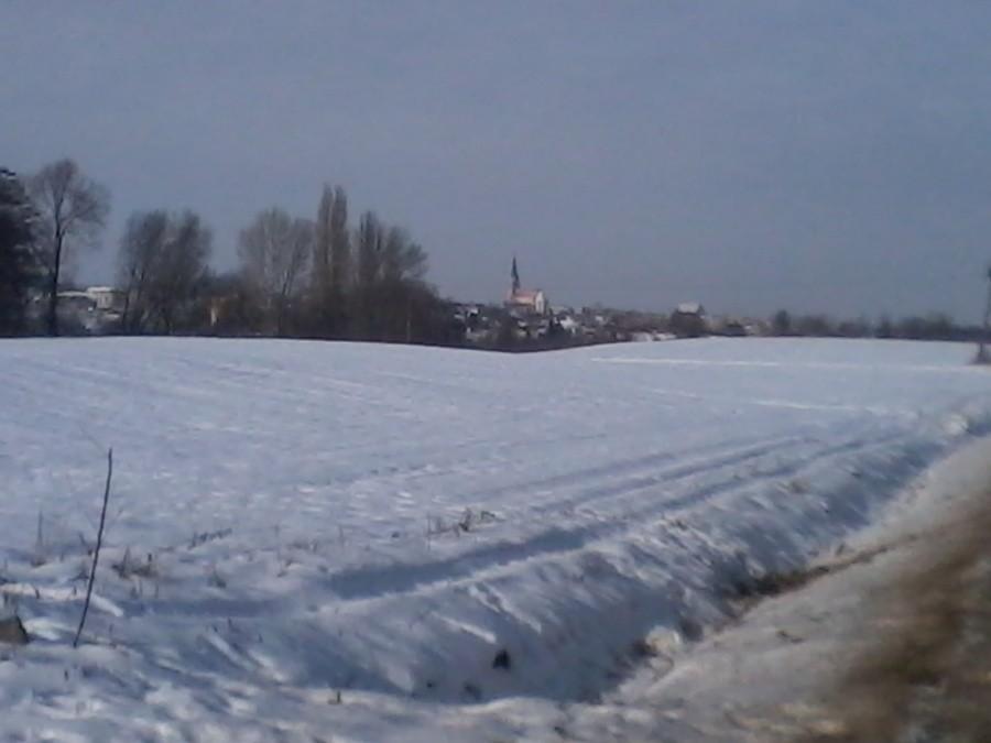 351035.jpg