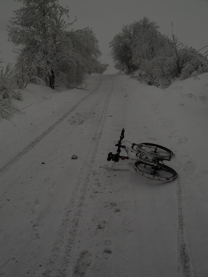 podjazd w Jasiennej